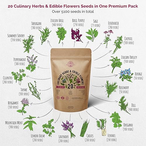 Miniatura 2 de Paquete variado de 20 hierbas culinarias y semillas de flores comestibles para plantar en interiores y exteriores. Más de 5100 semillas de jardín de