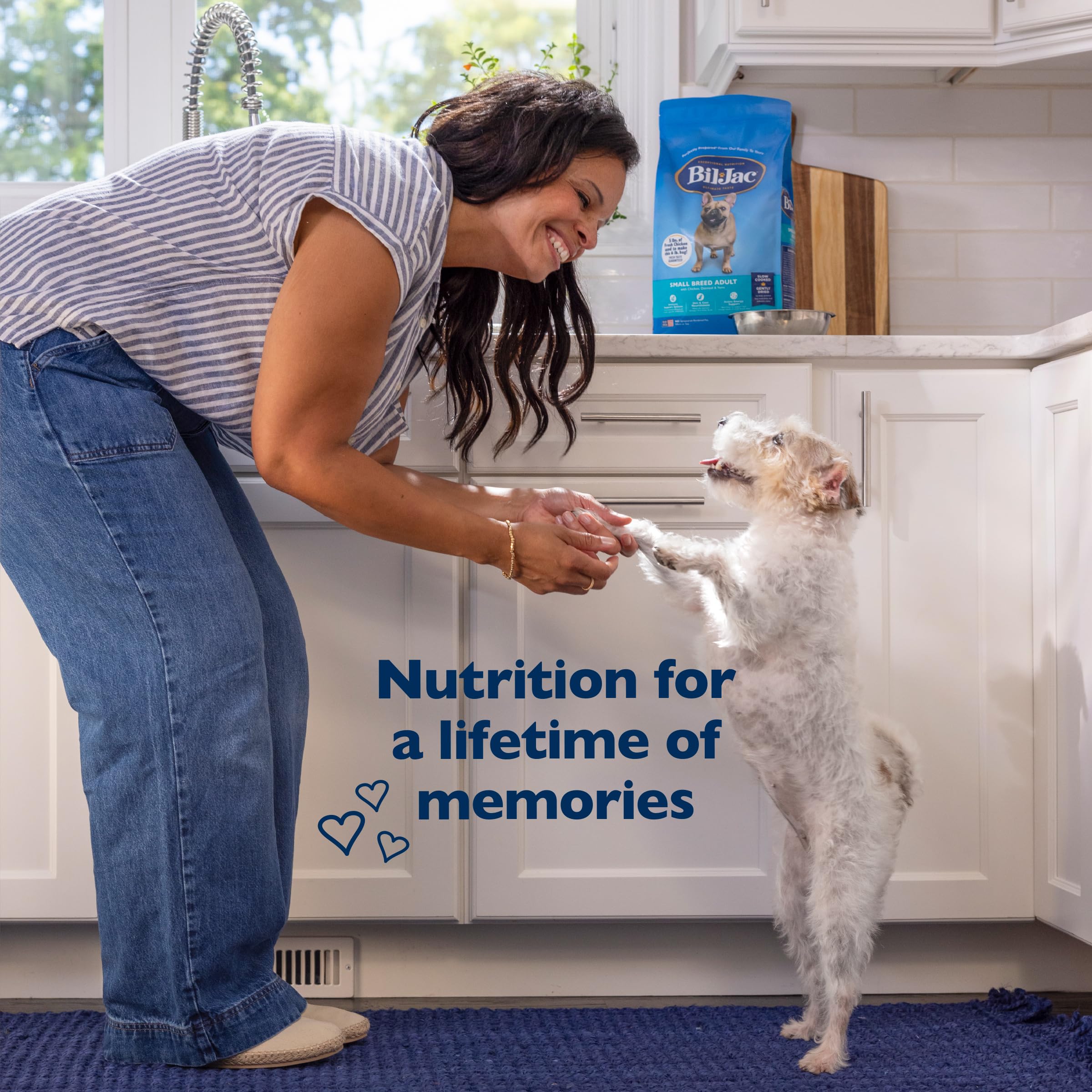 Amazon.com: Bil-Jac Small Breed Adult FormulaDry Dog Food