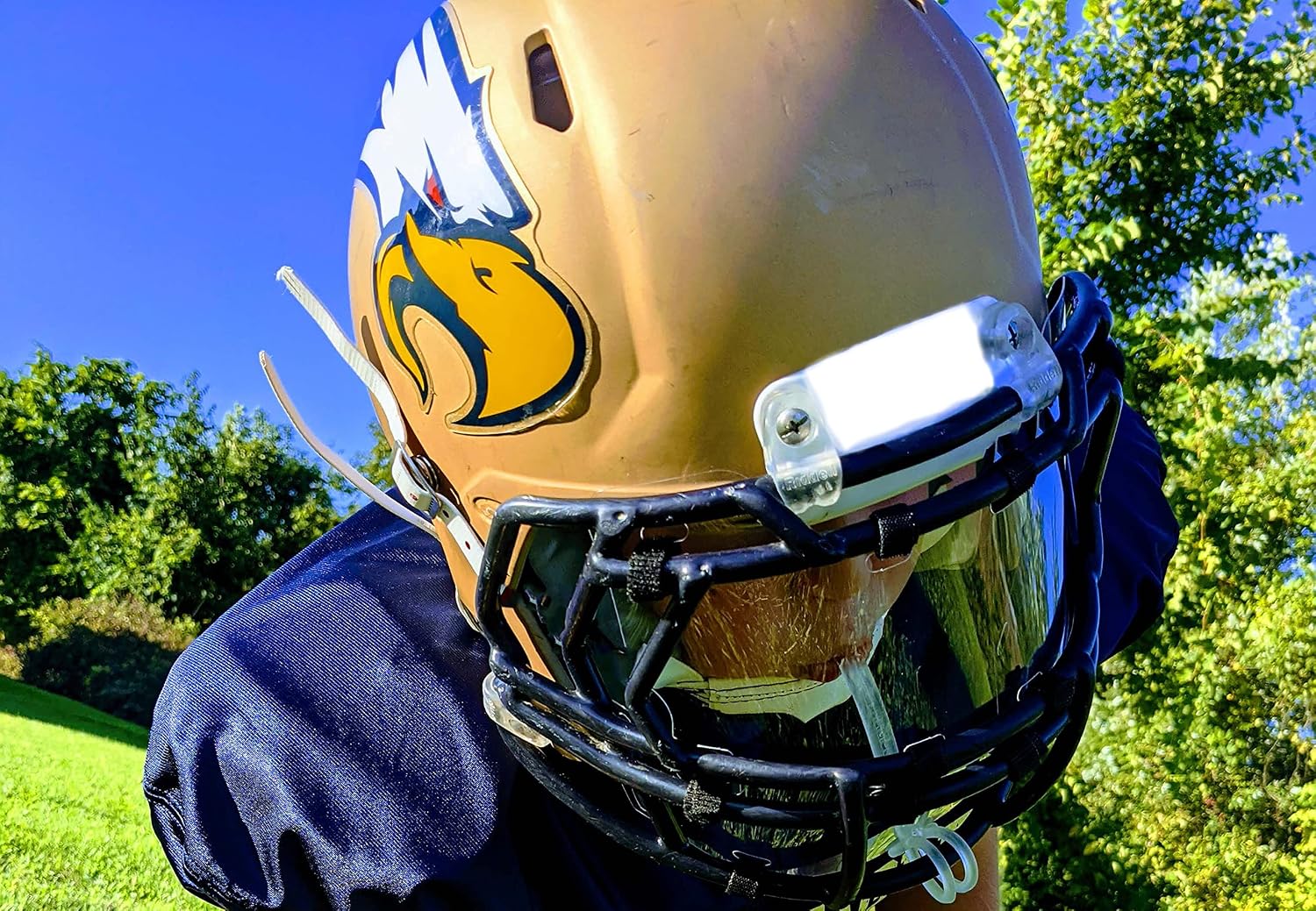 Generic Football Helmet Splash Shield 