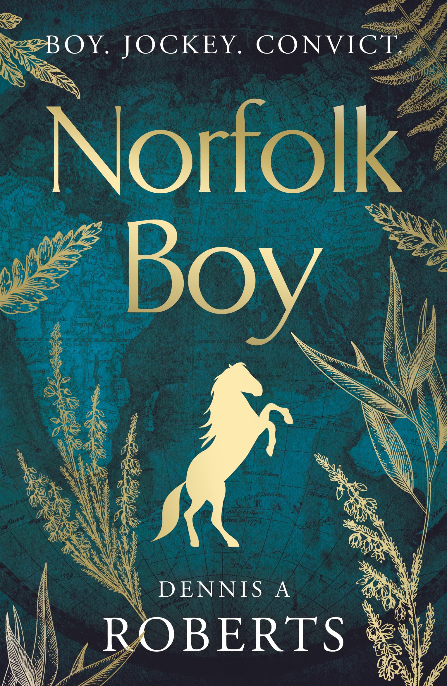 Norfolk Boy by Dennis A Roberts (Paperback Book)