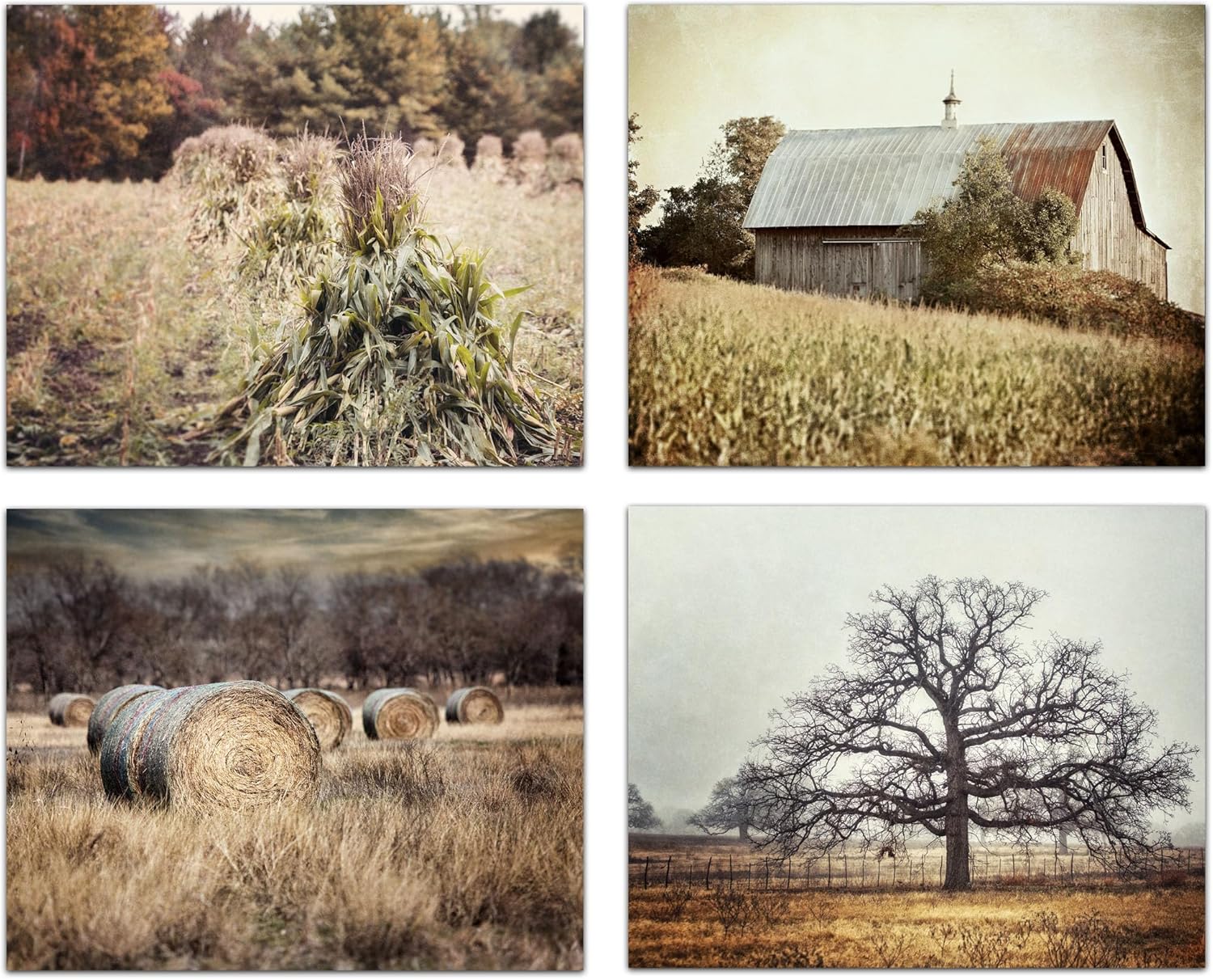 Lisa Russo Fine Art - Rustic Farmhouse Wall Decor Set of 4 8x10” Prints - Not Framed - Neutral Beige, Gold Country Pictures - Barn, Hayfield, Tree - Living Room, Kitchen, Bedroom Art