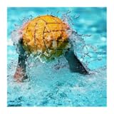 polo 1.3 weber Guide Water Polo