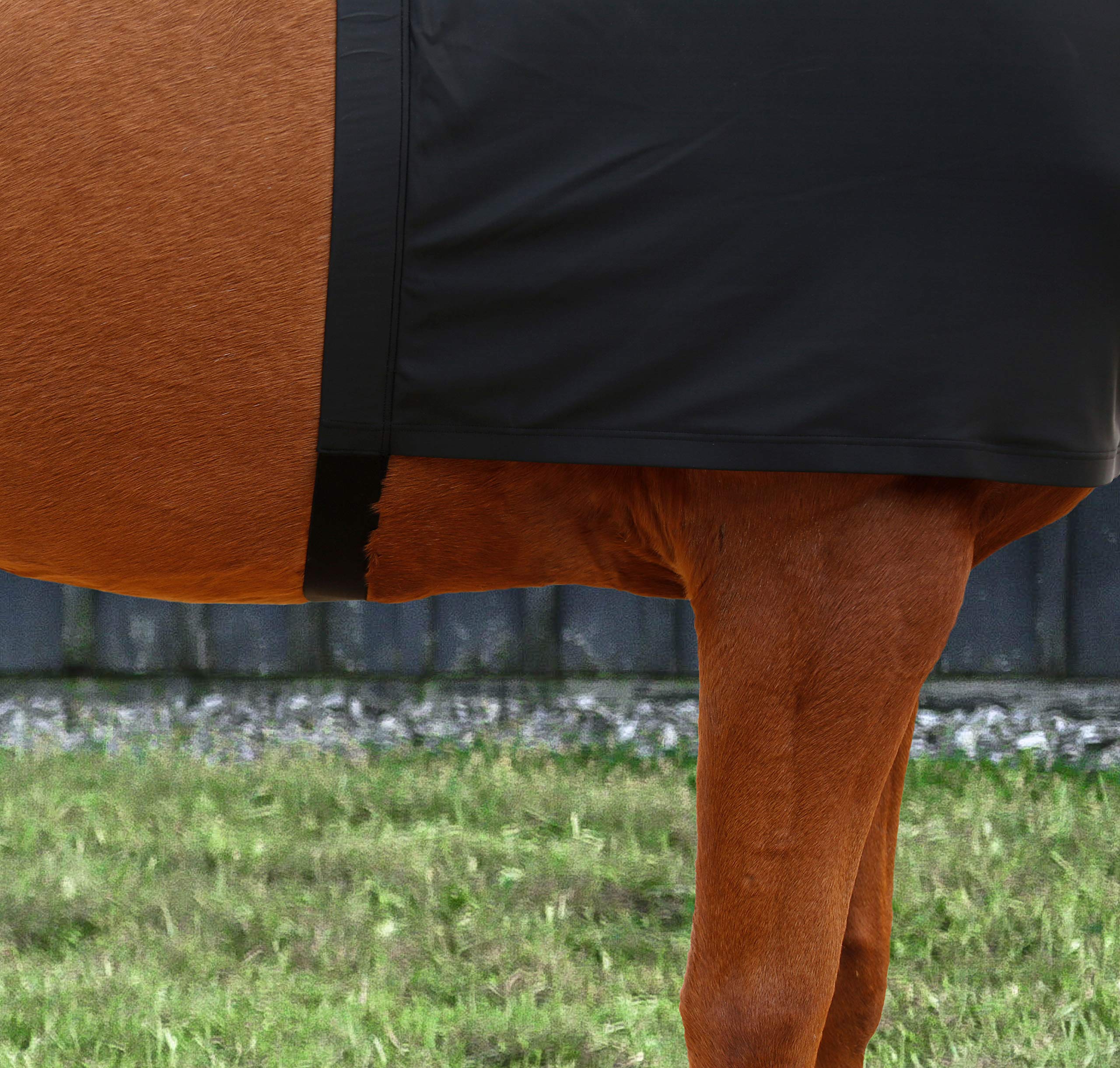 Harrison Howard Gilet Extensible Anti-frottement pour protéger Les épaules et la Poitrine de Cheval