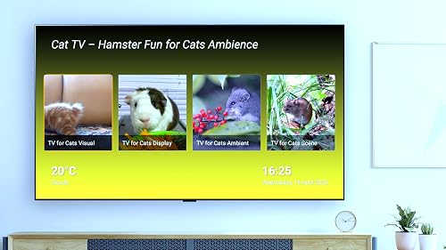 Cat TV – Hamster Fun & Entertainment for Cats Screensaver For Tablets And Fire TV – vue 3