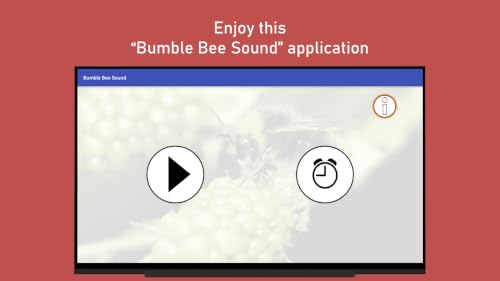 Bumble Bee Sound – vue 9