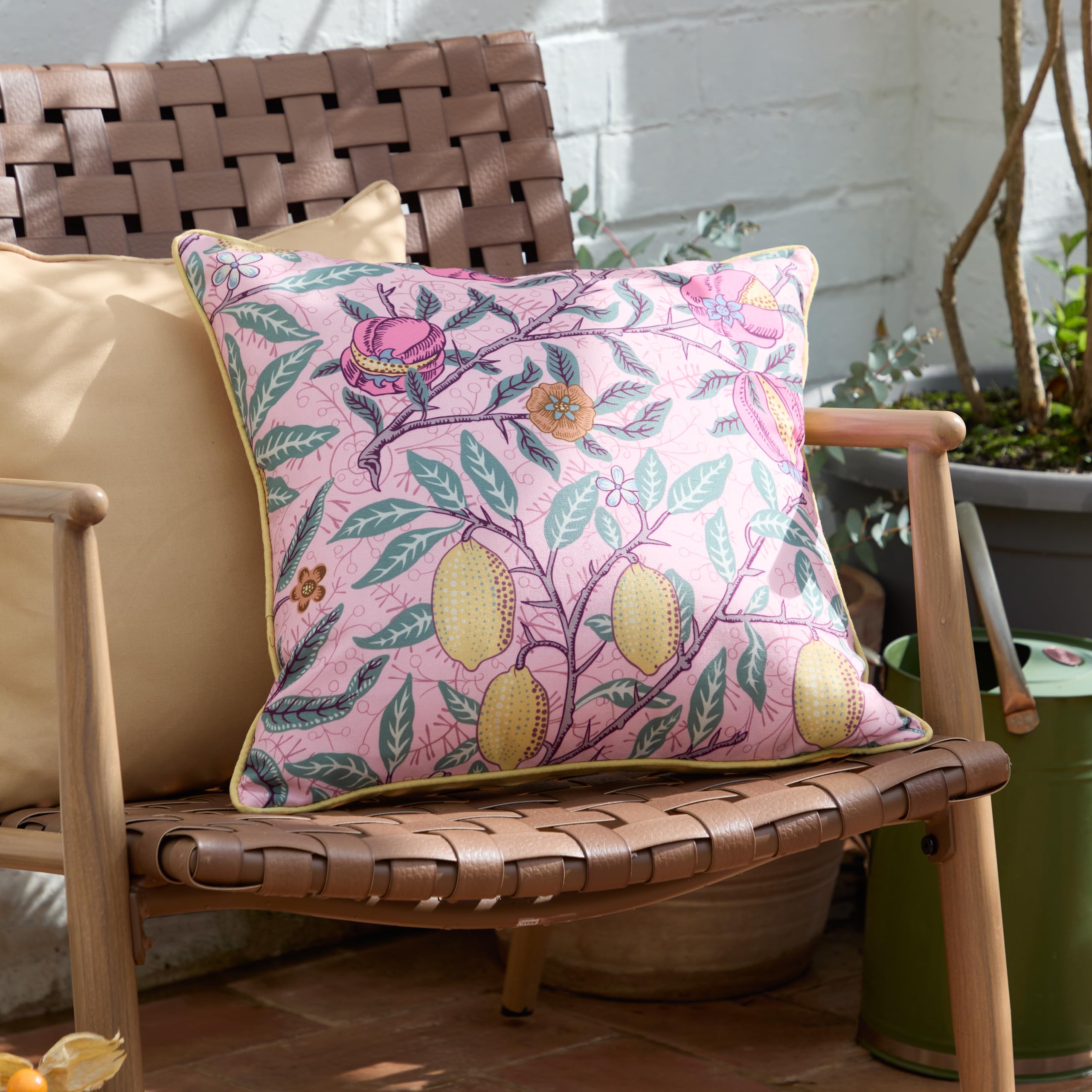 Fruits Indoor / Outdoor Abstract Square Throw Cushion