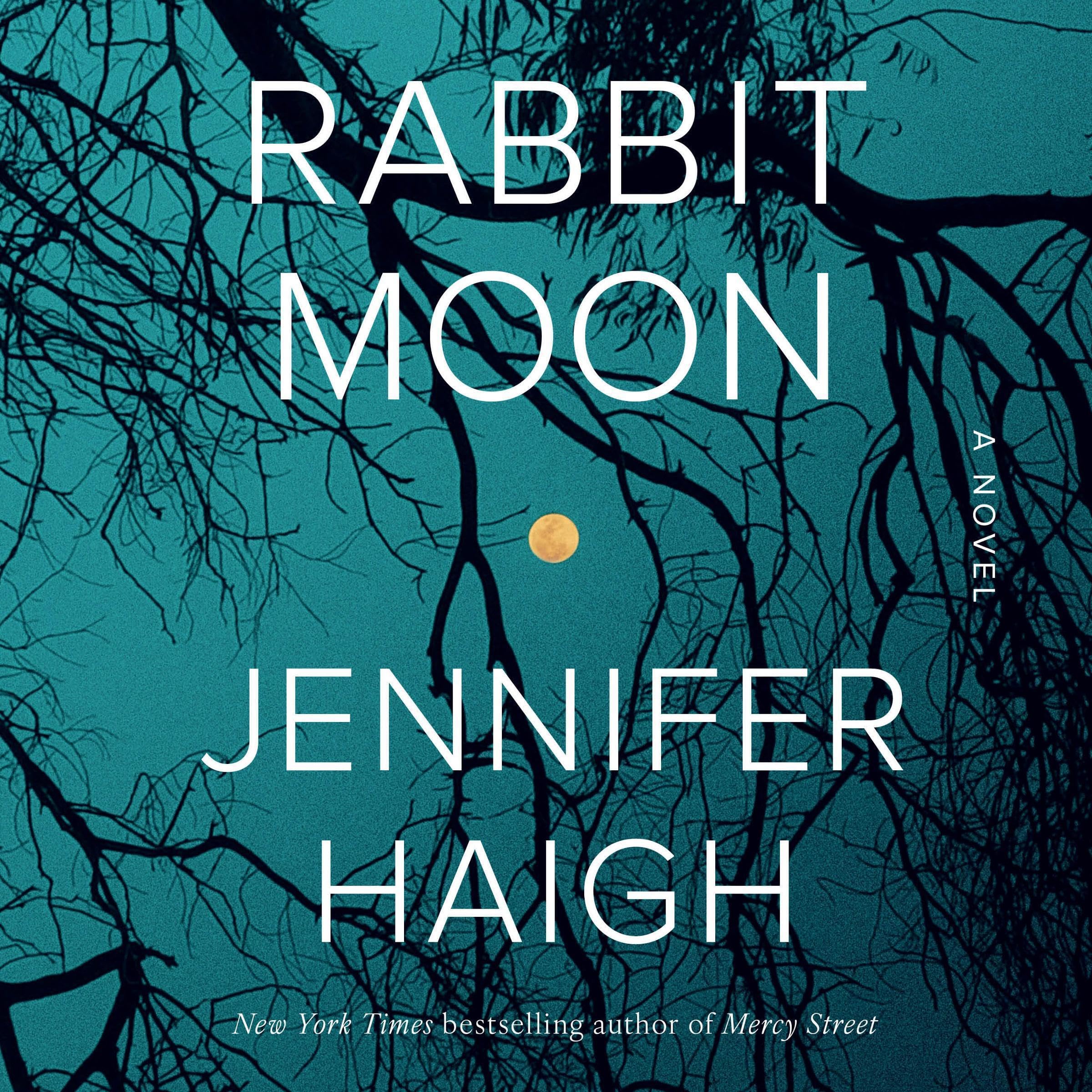 Cover art for Rabbit Moon