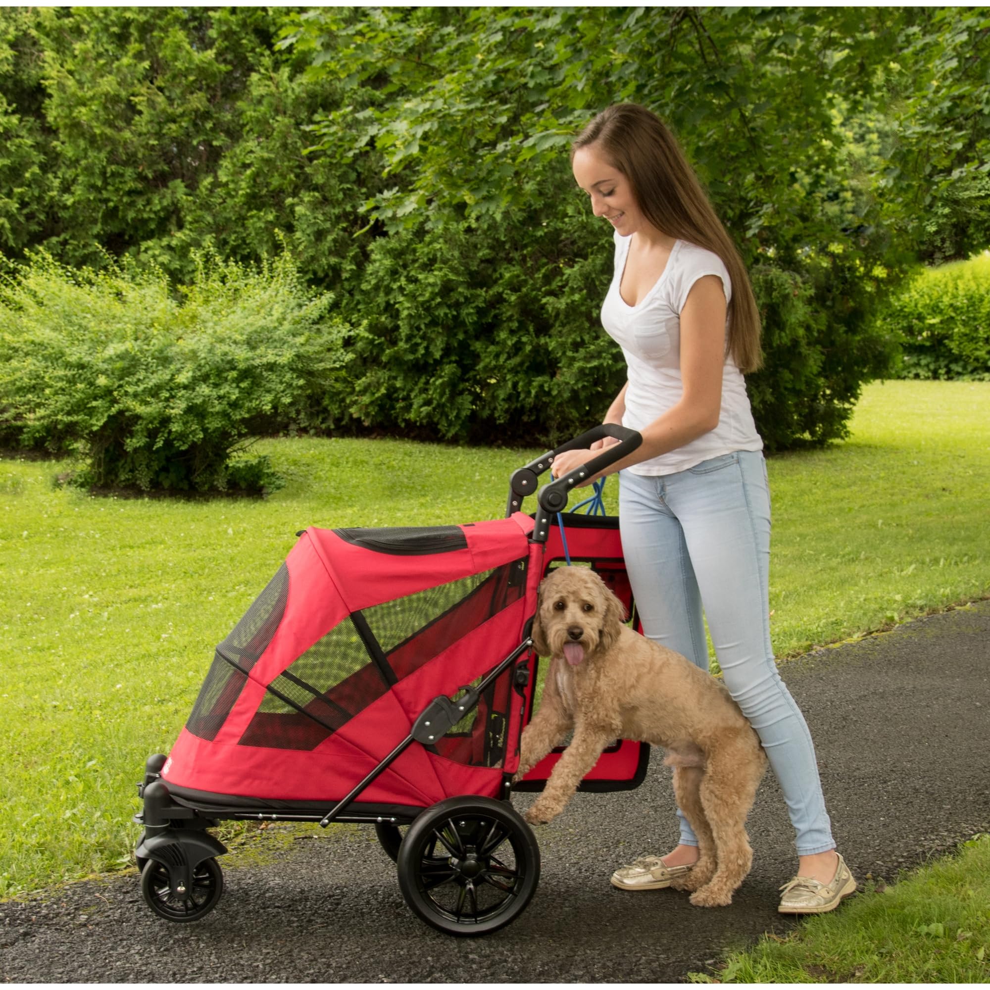 Amazon.co.jp: Pet Gear NO-Zip ペットベビーカー デュアルエントリー