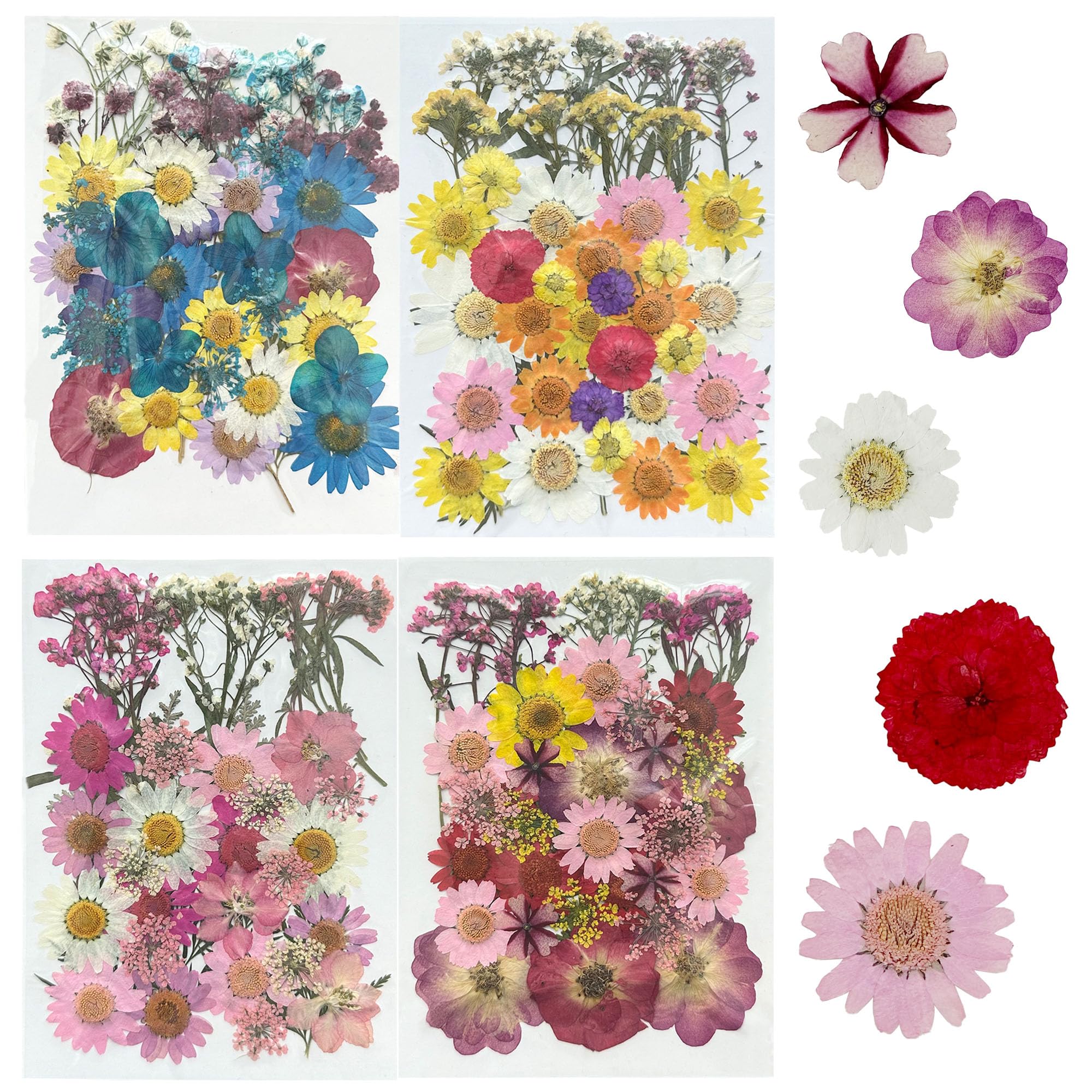 Woohome 160PCS Real Pressed Flowers