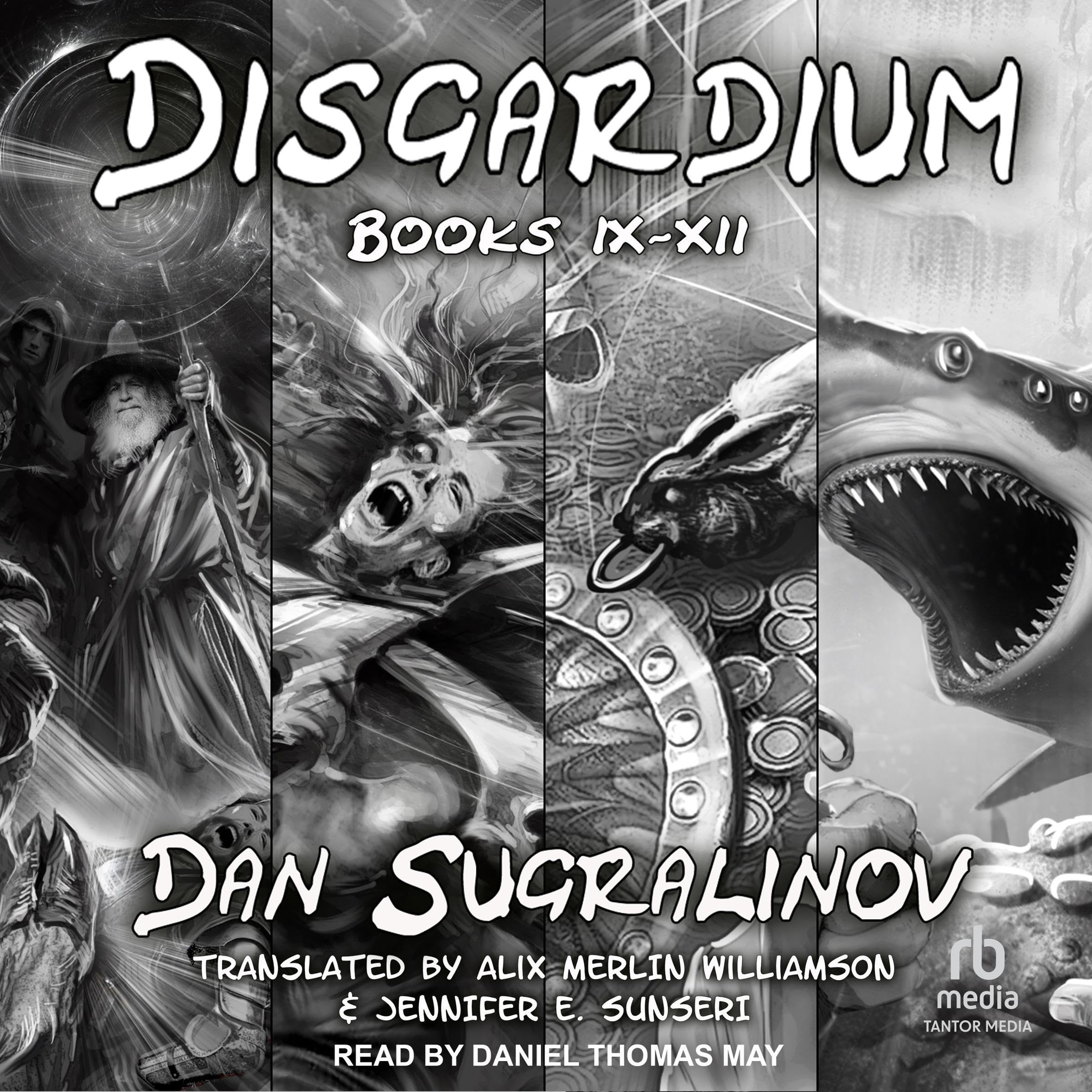 Cover art for Disgardium Series Boxed Set, Books 9-12