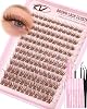 Brown Wispy Individual Eyelashes Kit Natural Cluster Lashes Kit Fairy Eyelash Clusters C Curl 10-16mm Lash Clusters Kit 144Pcs Lashes Individual Cluster Kit with Eyelash Brush