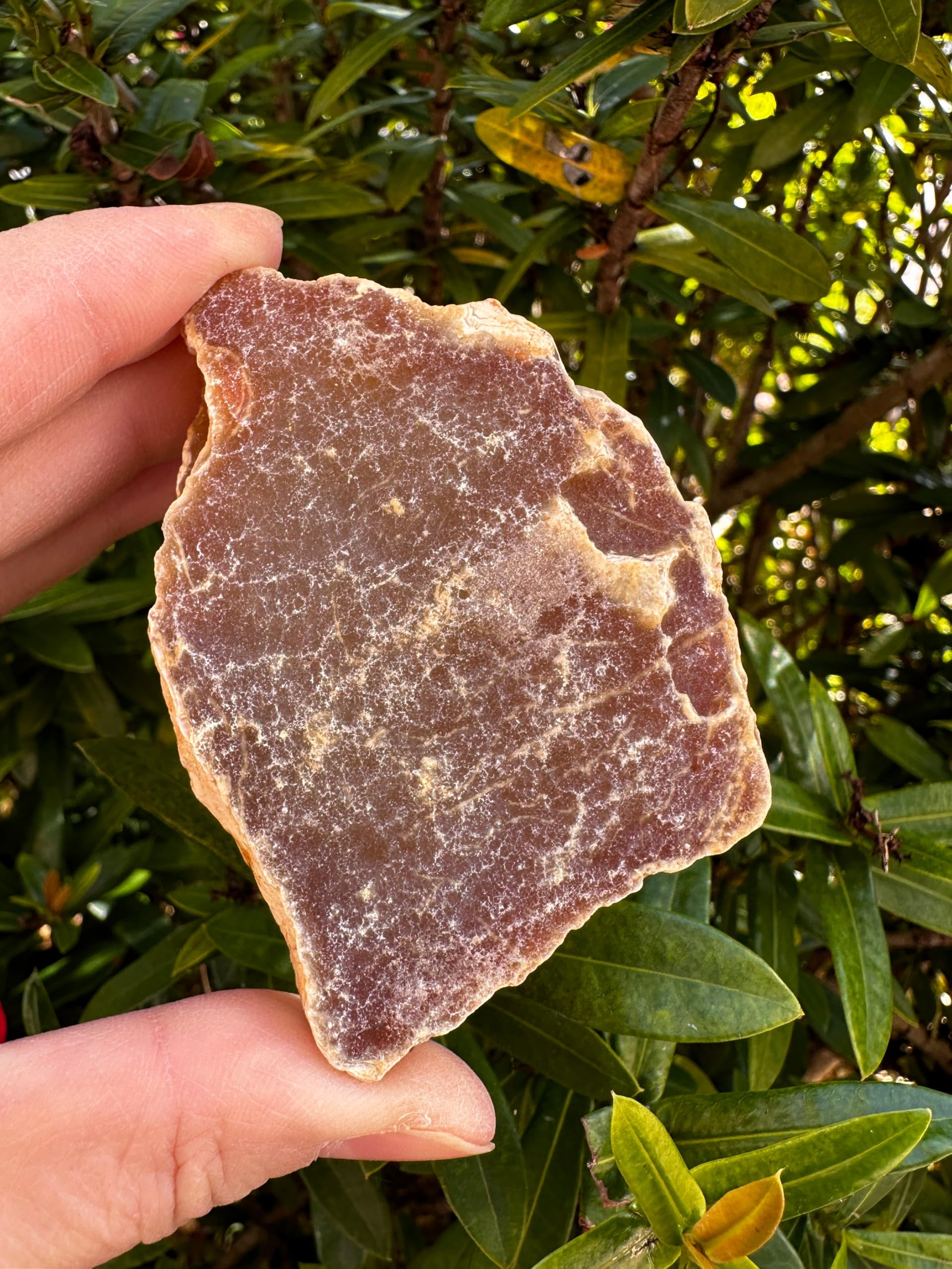 GAF TREASURES Corniola grezza grande, pietra corniola naturale, corniola grezza naturale, corniola grezza (corniola, 1 pezzo)