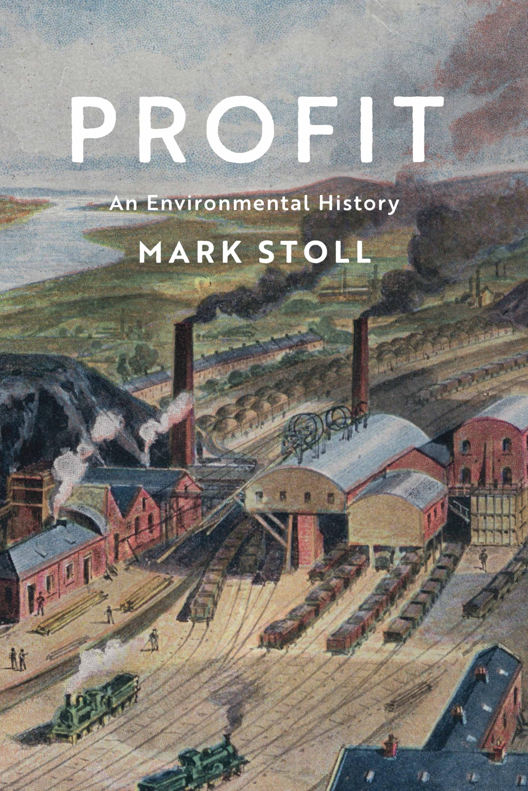 Profit by M Stoll PAPERBACK 9781509533244