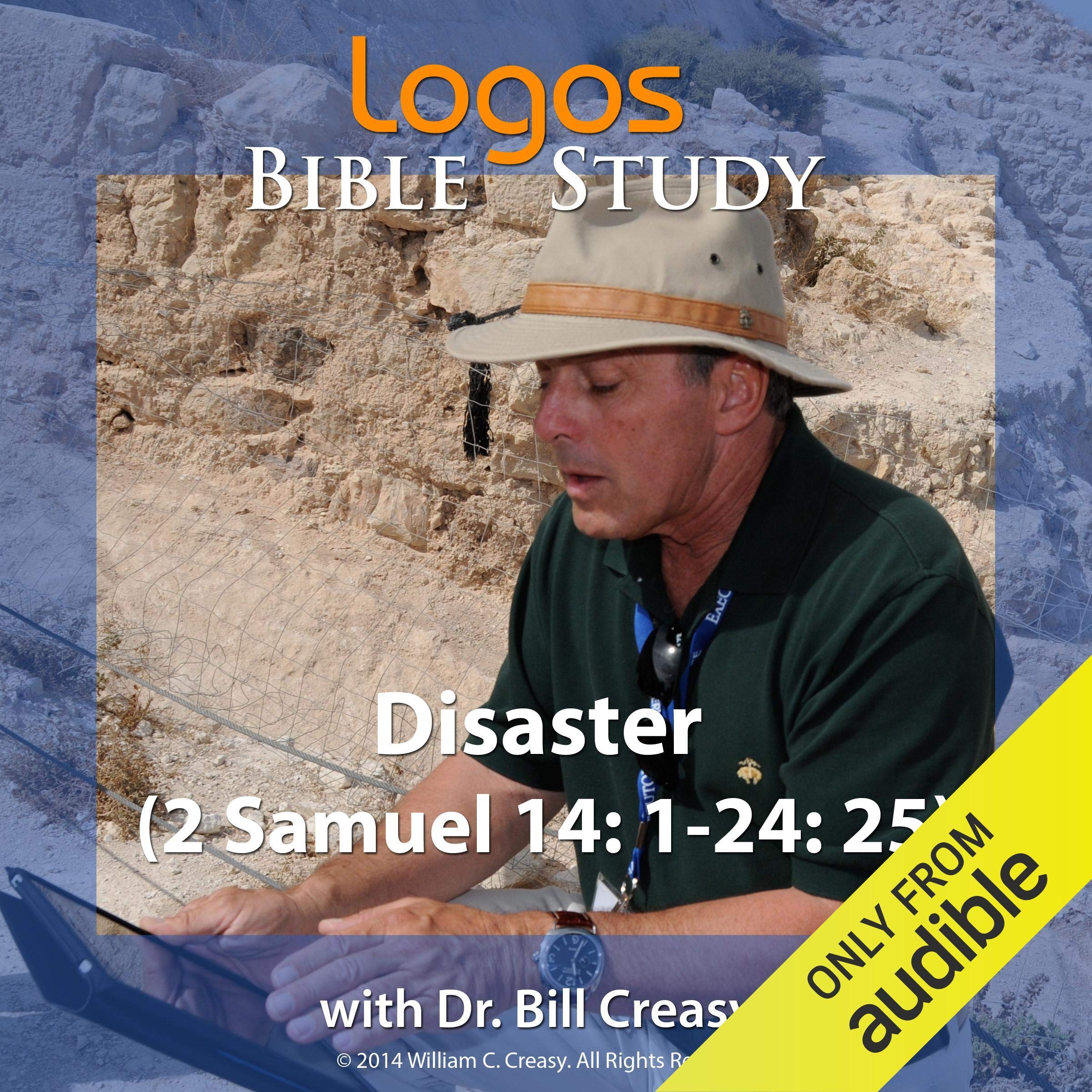 Cover art for Disaster (2 Samuel 14: 1-24: 25)