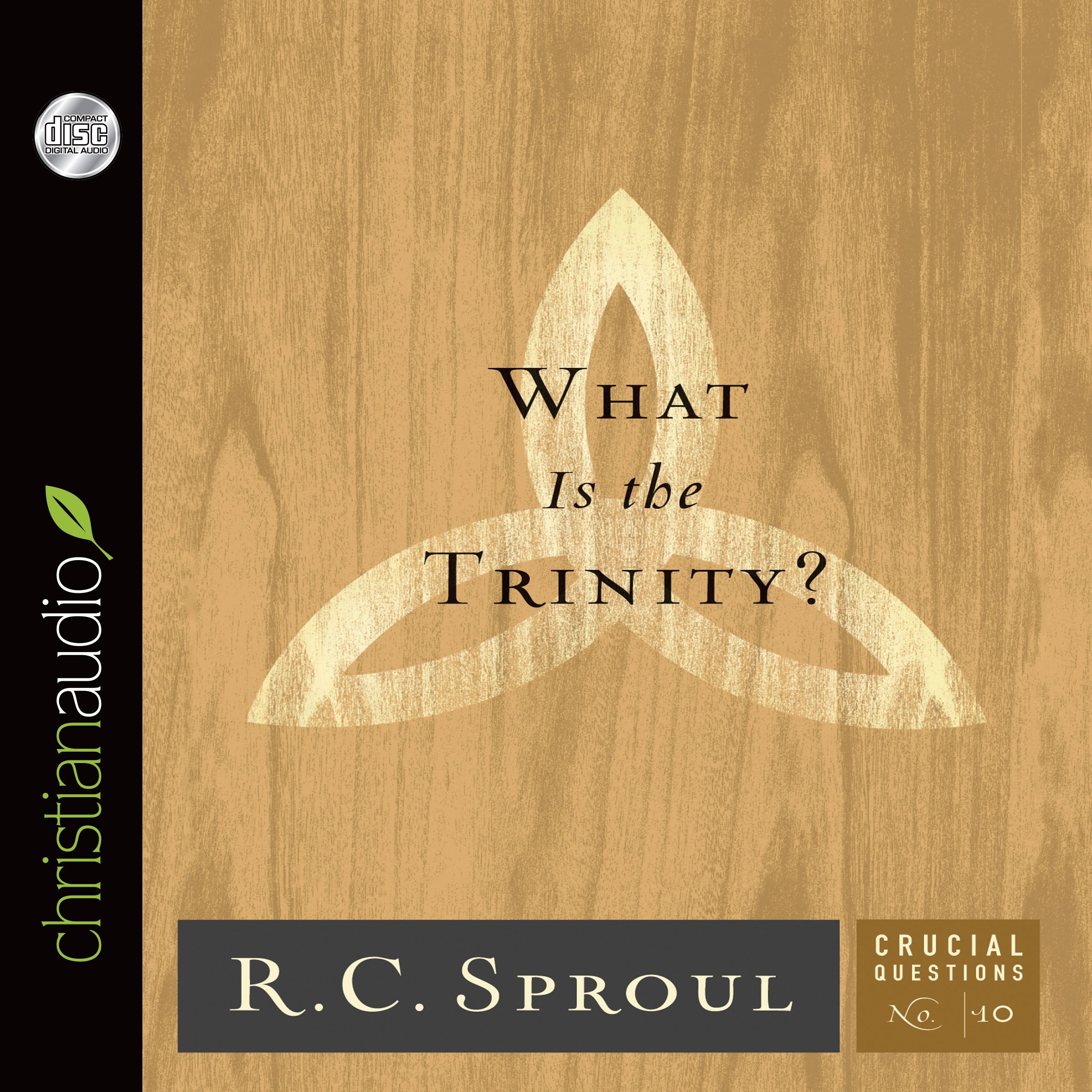Cover art for What Is the Trinity?