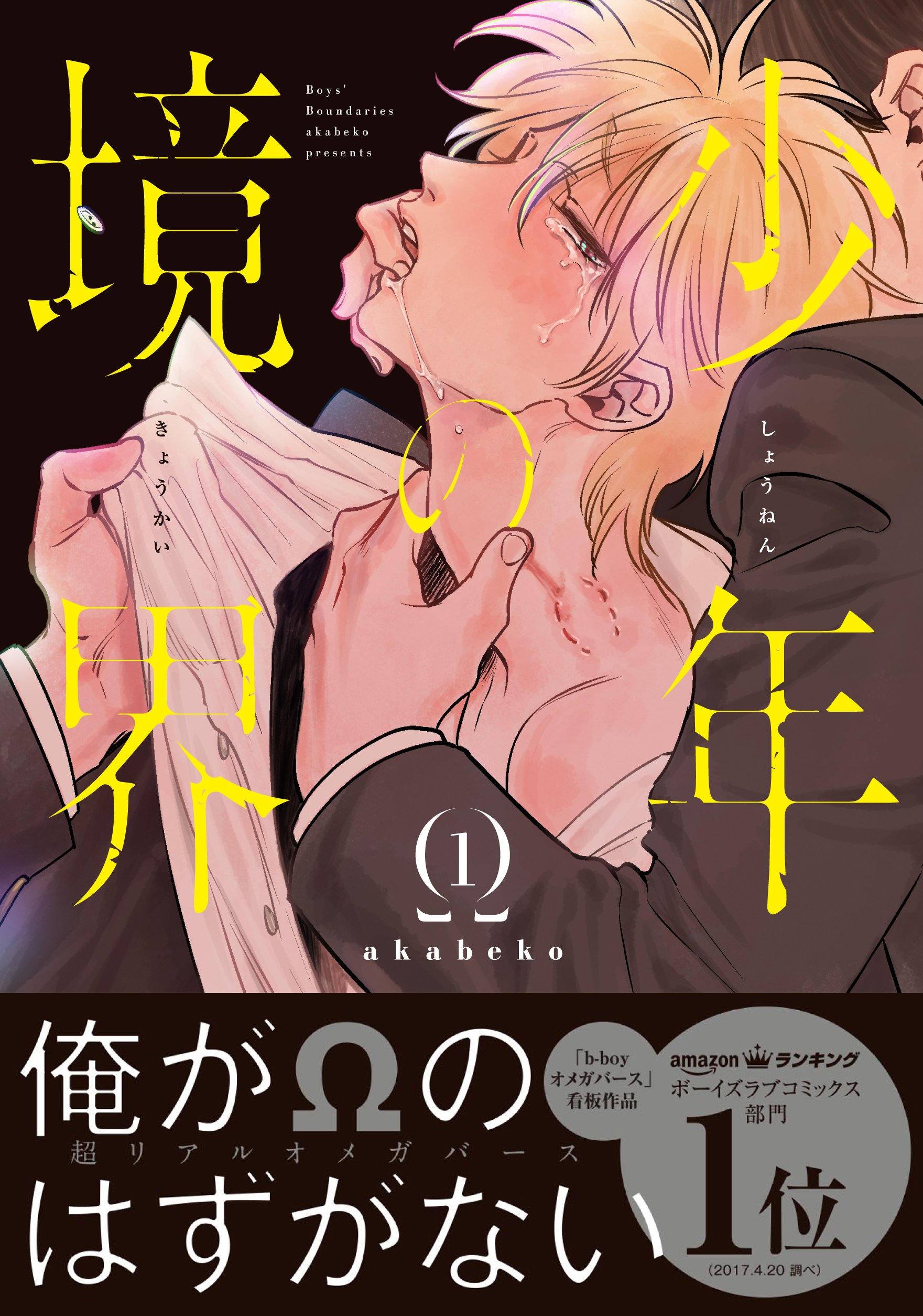 少年の境界 1 ビーボーイオメガバースコミックス Akabeko 本 通販 Amazon