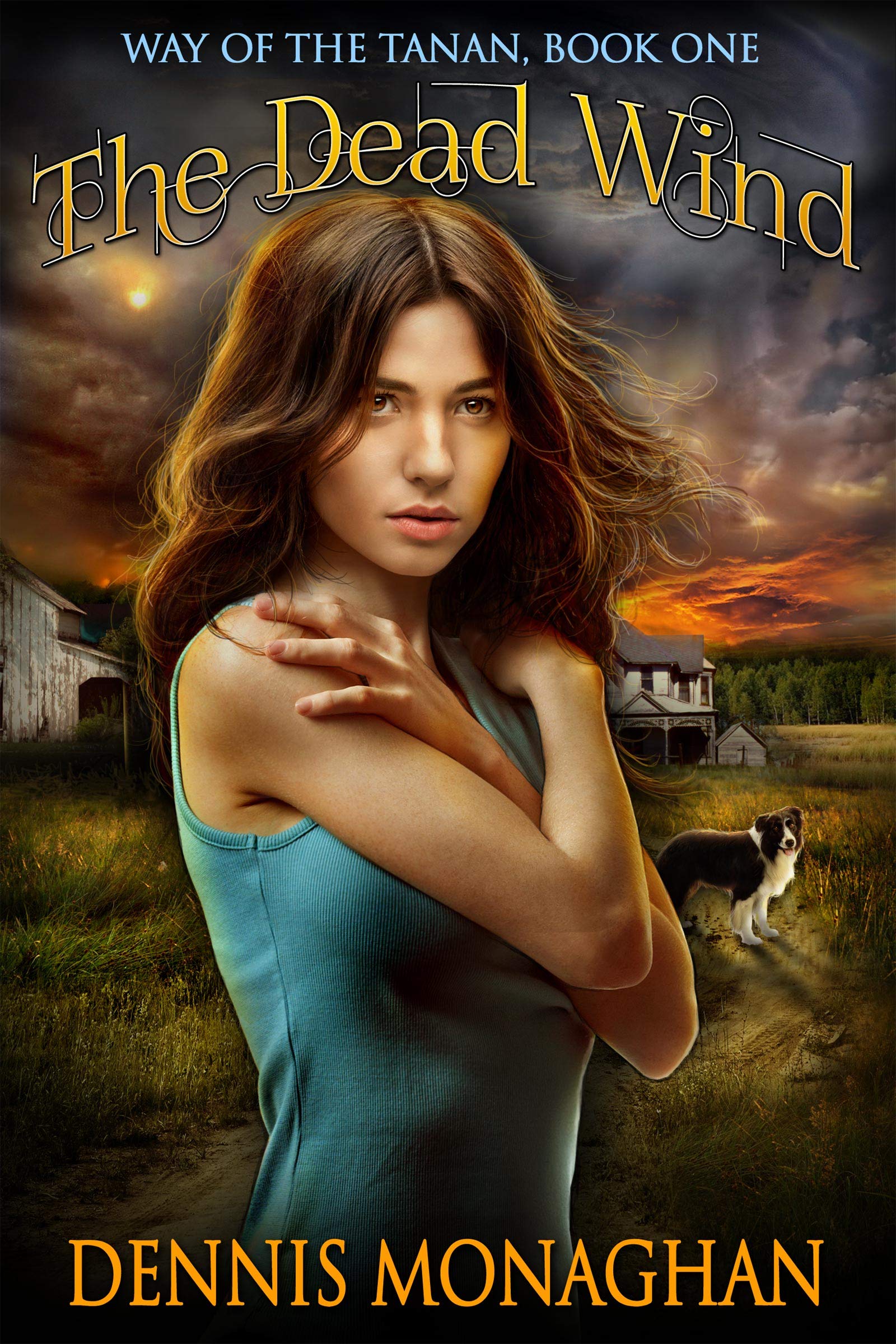 Cover of The Dead Wind