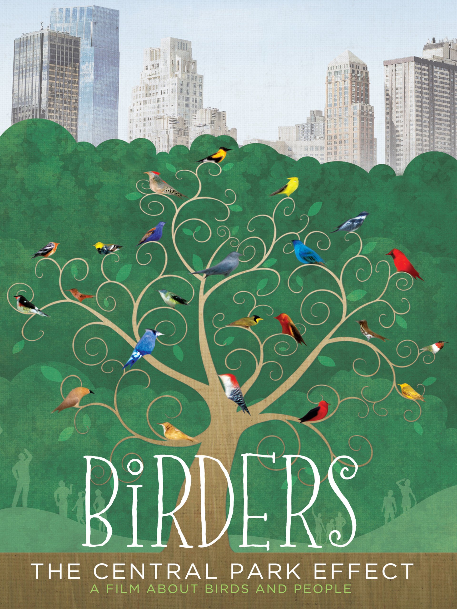 Birders: The Central Park Effect