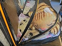 Review Image by Steffanie Steffanie