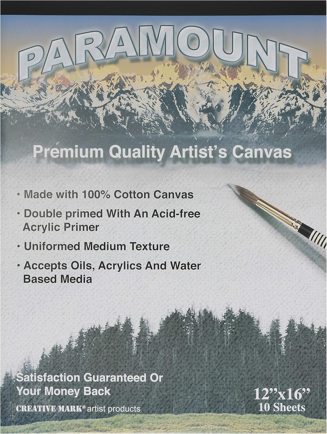 Paramount Artist Cotton Canvas Paper Pad for Painting, Single Pad with 10 Sheets, 11" x 14"
