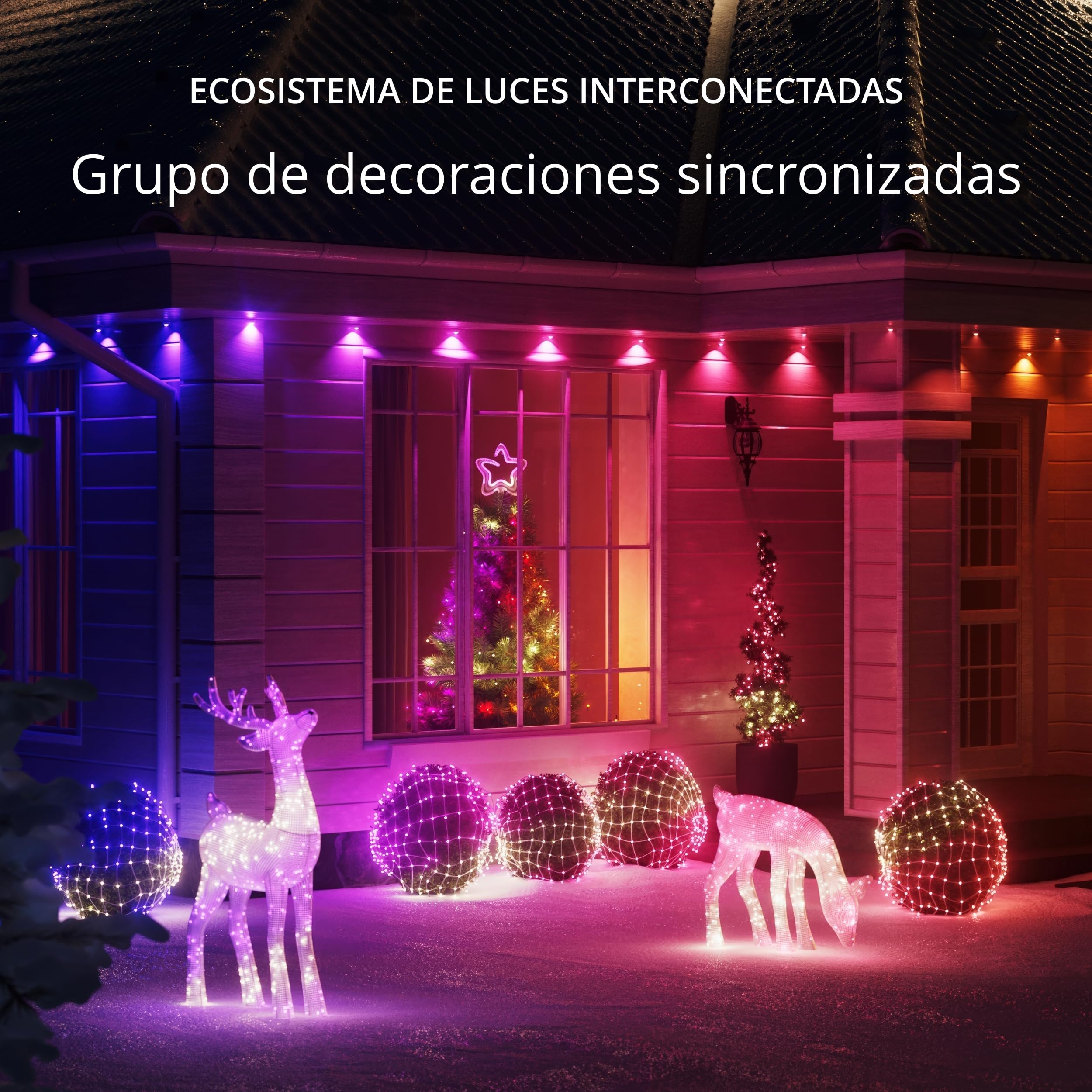 Twinkly Net Lights, Rejilla LED Flexible con 260 LED RGB Mapeables, Tira de Luces Exterior e Interior, Luces Inteligentes, Compatible con Alexa, Google Home, IP44, Cable Transparente, 1,2 m x 1,9 m