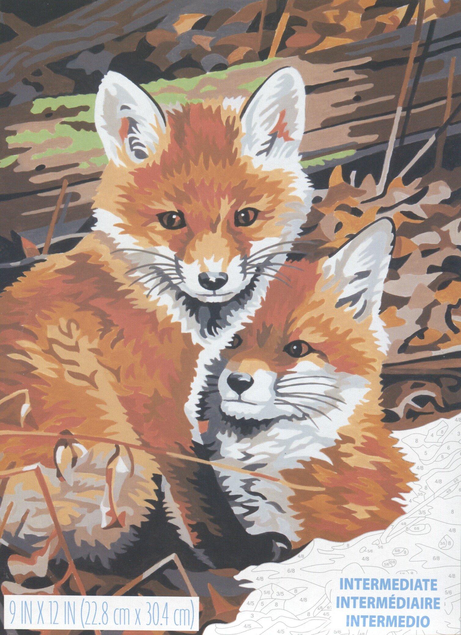 PaintWorks Fox Hole, Paint by Number, 73-91488