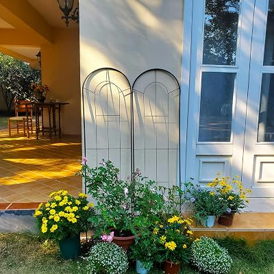2 Pack Black Garden Trellis for Climbing Plants 59 H x 15.9 W Iron Plant Support Climbing Vines and Flowers Stands Vegetables Patio Metal Lattices Garden Addition Outdoor