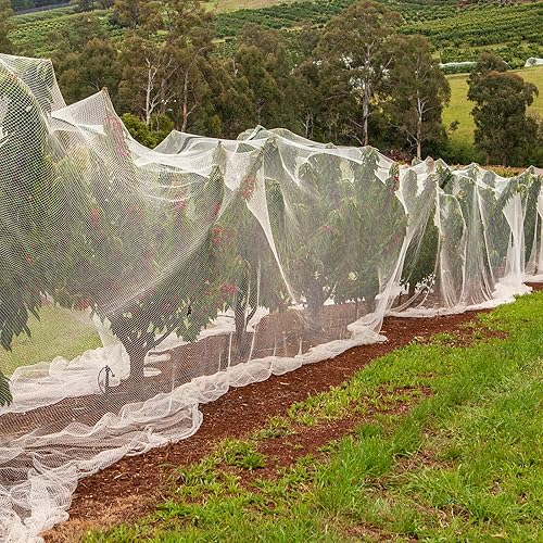 Miniatura 6 de Hoolerry Mosquitera ultra fina para jardín, cubiertas grandes para plantas, pájaros, blanco, malla de polietileno para proteger verduras, frutas,