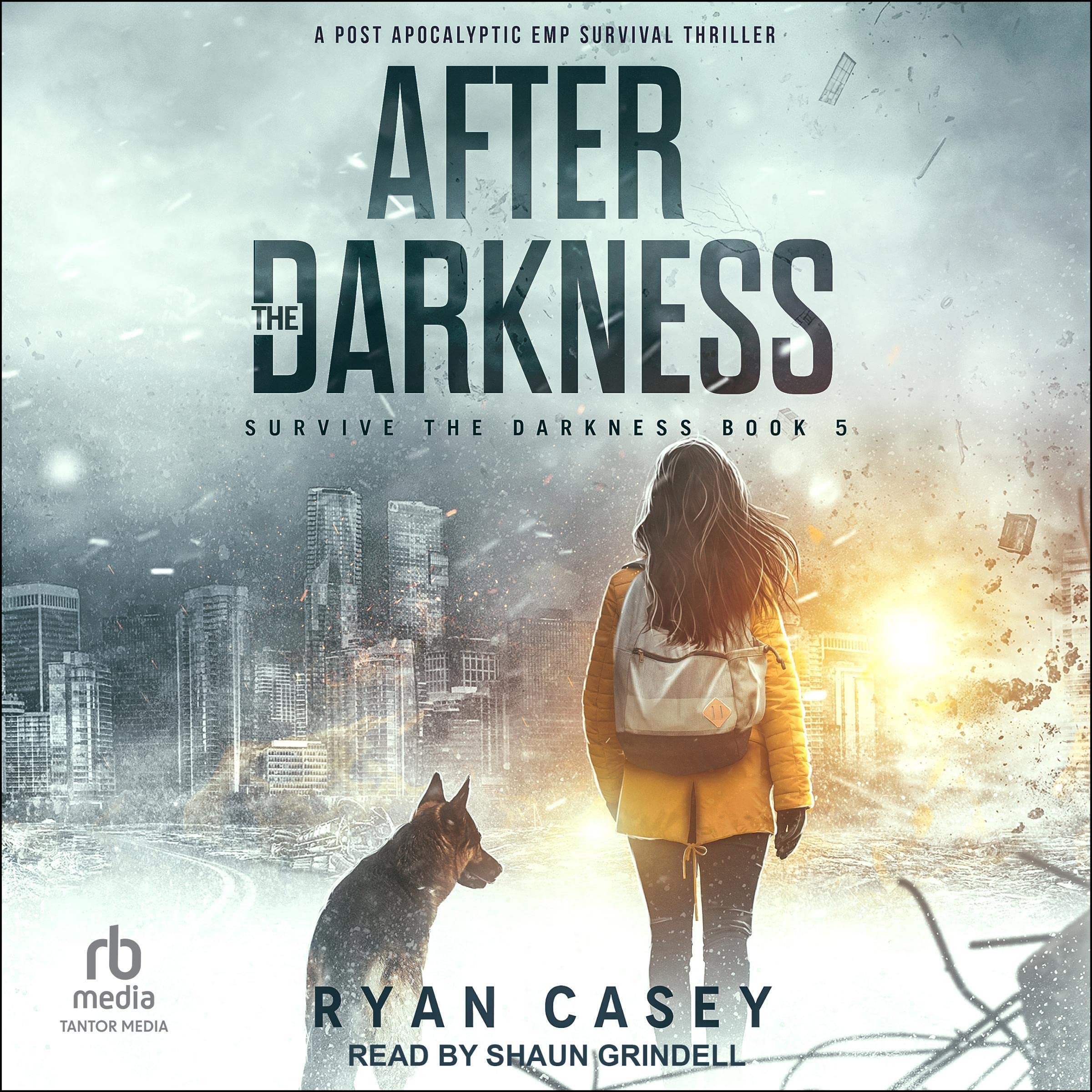 Cover art for After the Darkness