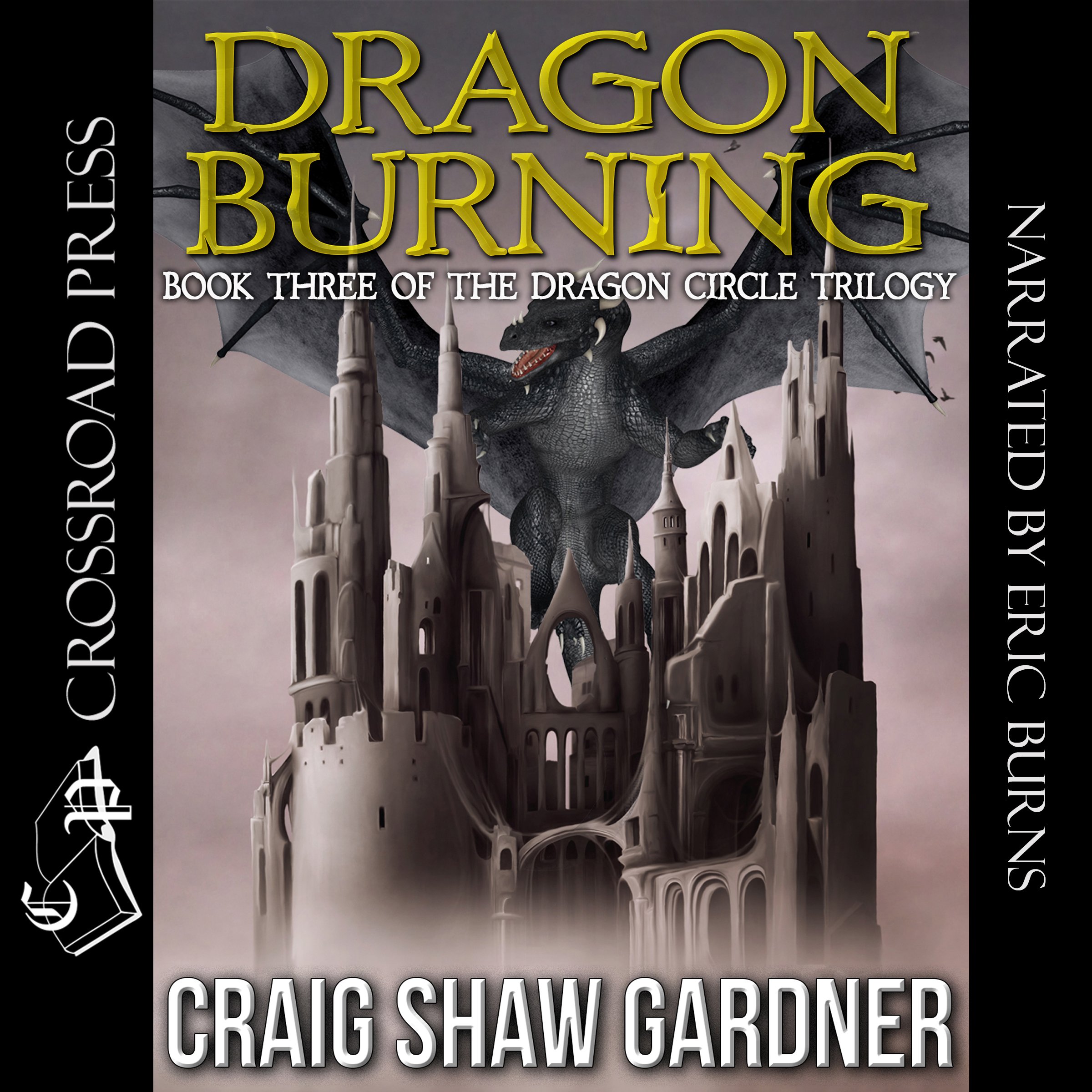 Cover art for Dragon Burning