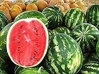 Non-GMO Heirloom Green Astrakhan Watermelon Seeds - 30 Count High Germination, Easy Grow Guide by RAISE ME UP