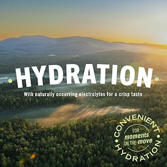 Poland Spring Maine Spring Bottled Water - 33.8 Fl Oz | Still Bottled Water with Naturally Occurring Minerals & Electrolytes - Pure Crisp Refreshing Hydration