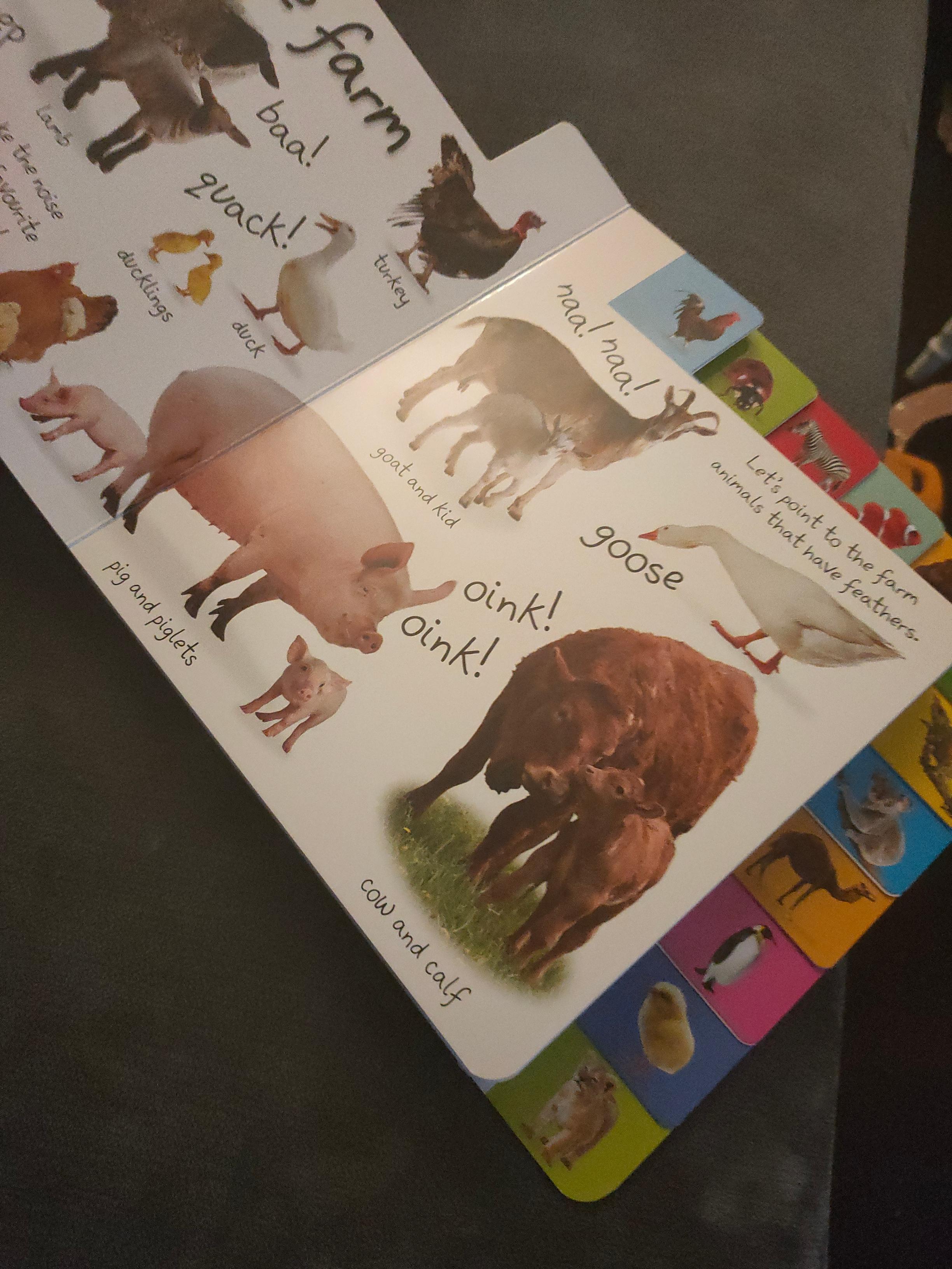 First Squawk My First Animals: Let's Squeak and Squawk! (My First Tabbed Board Book ...