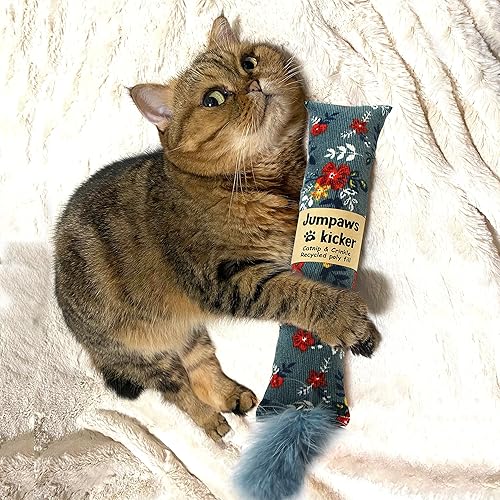 Miniatura 3 de Paquete de 2 pateadores interactivos naturales para gatos con plumas y hierba gatera, juguete masticable resistente a las mordeduras, accesorios