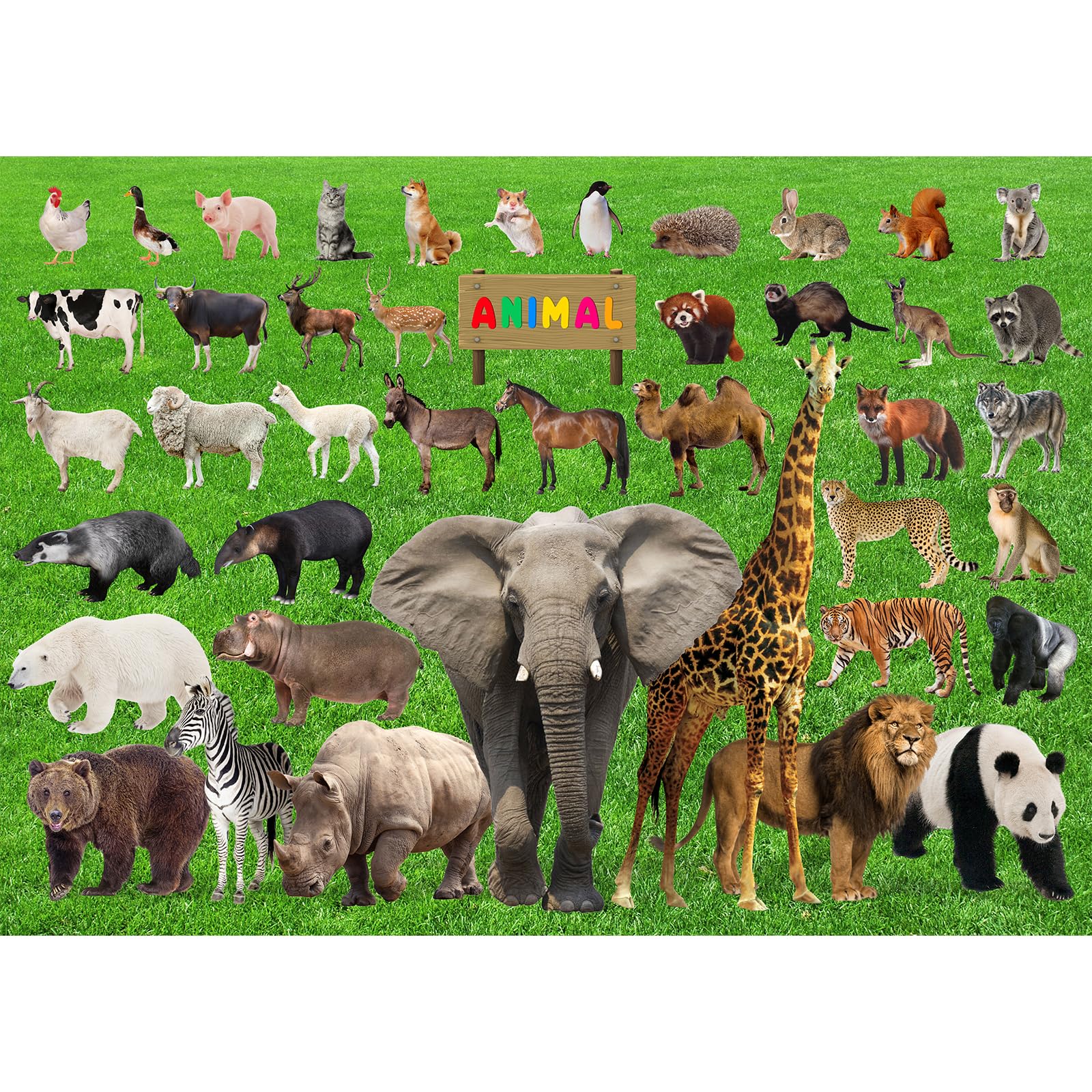 ドイツ輸入  忠犬パズル1000P ドイツ輸入 忠犬パズル1000P Amazon | CHengQiSM 1000ピース