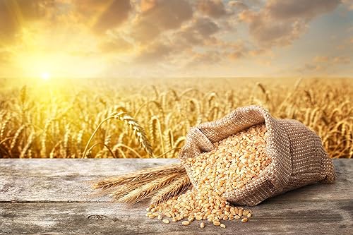 Miniatura 7 de Cuscús de trigo integral orgánico, 5 libras, sin OMG, Kosher, crudo, vegano, a granel