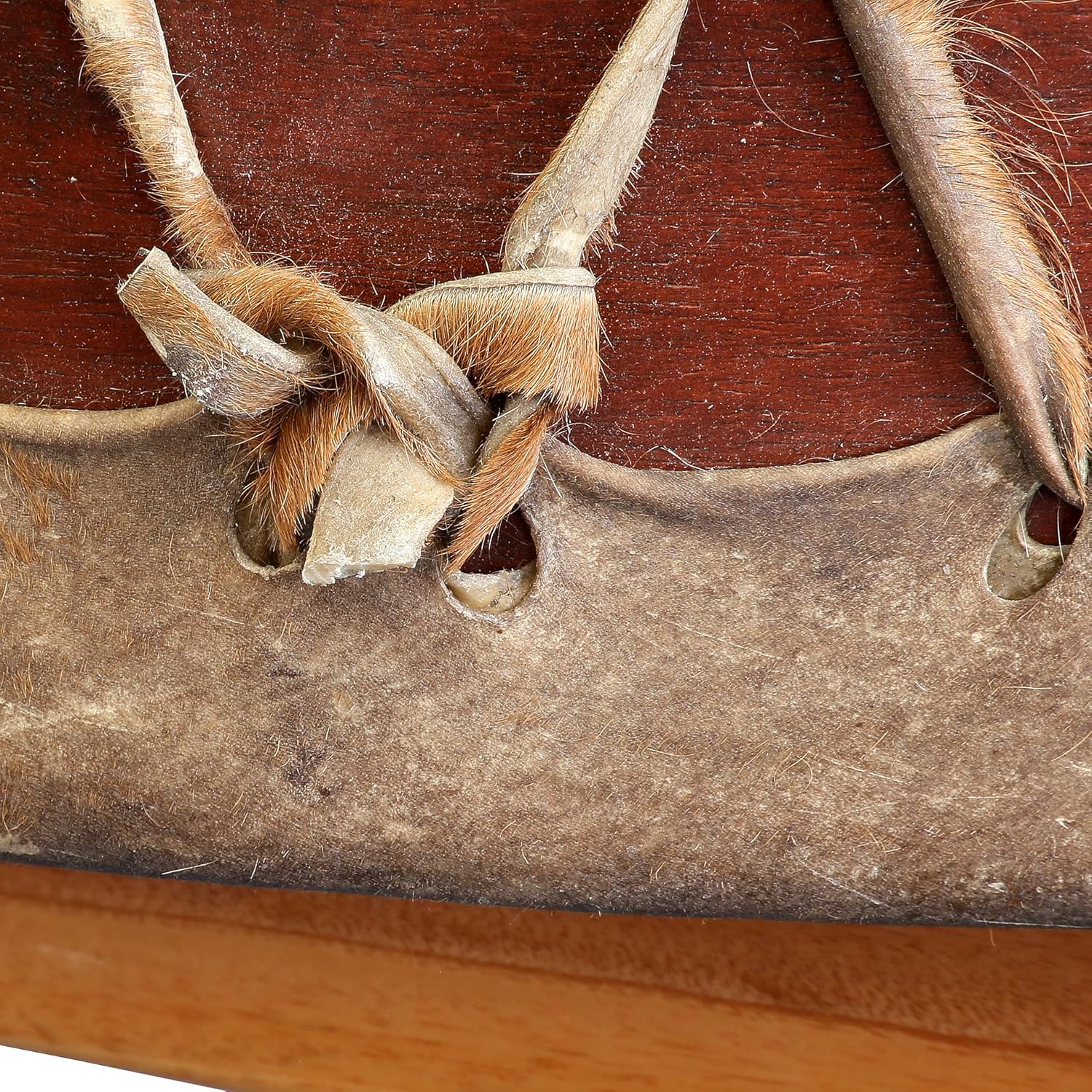 Mother Drum Made from Cowhide: 40" Diameter, 15" Height, 24" Stand Height