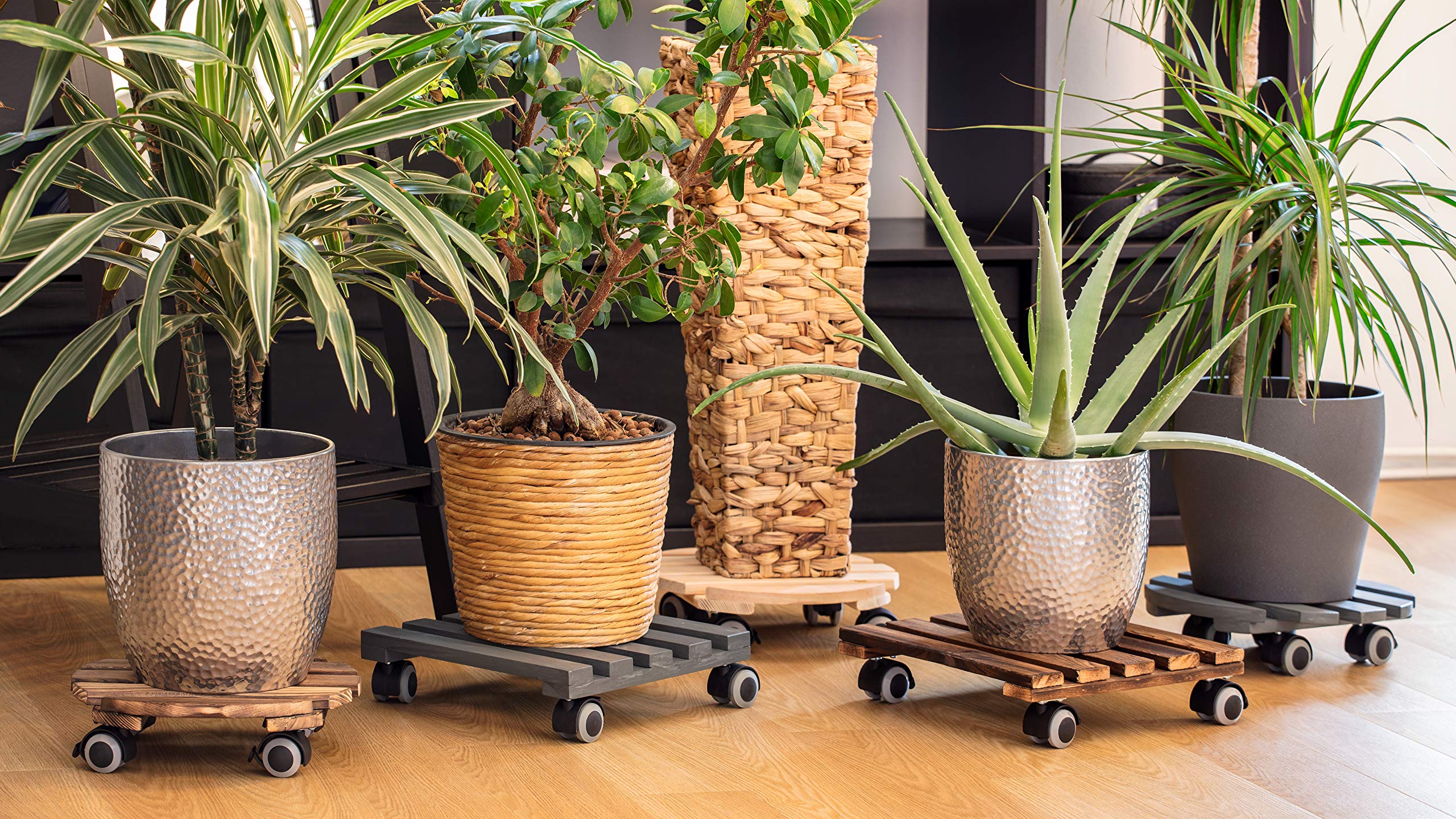 Metafranc Chariot pour Plantes Ø 300 mm 60 kg Plaque en pin Naturel Roues TPE 4 blocages