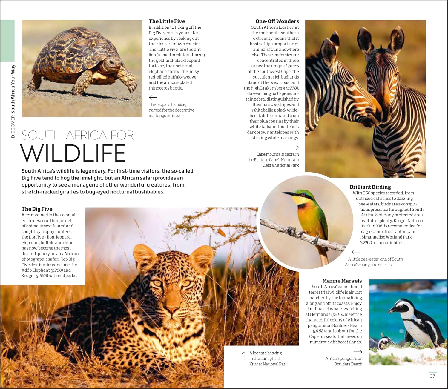 DK South Africa: Must-See Sights. Culture & History. Detailed Maps & Tours. Covers Cape Town, Kruger National Park, & (Travel Guide)