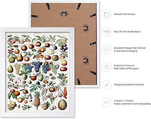 Miniatura 396 de Poster Master Póster vintage de orquídea, estampado de flores retro, arte de pared de plantas exóticas, arte botánico, regalo para hombres y