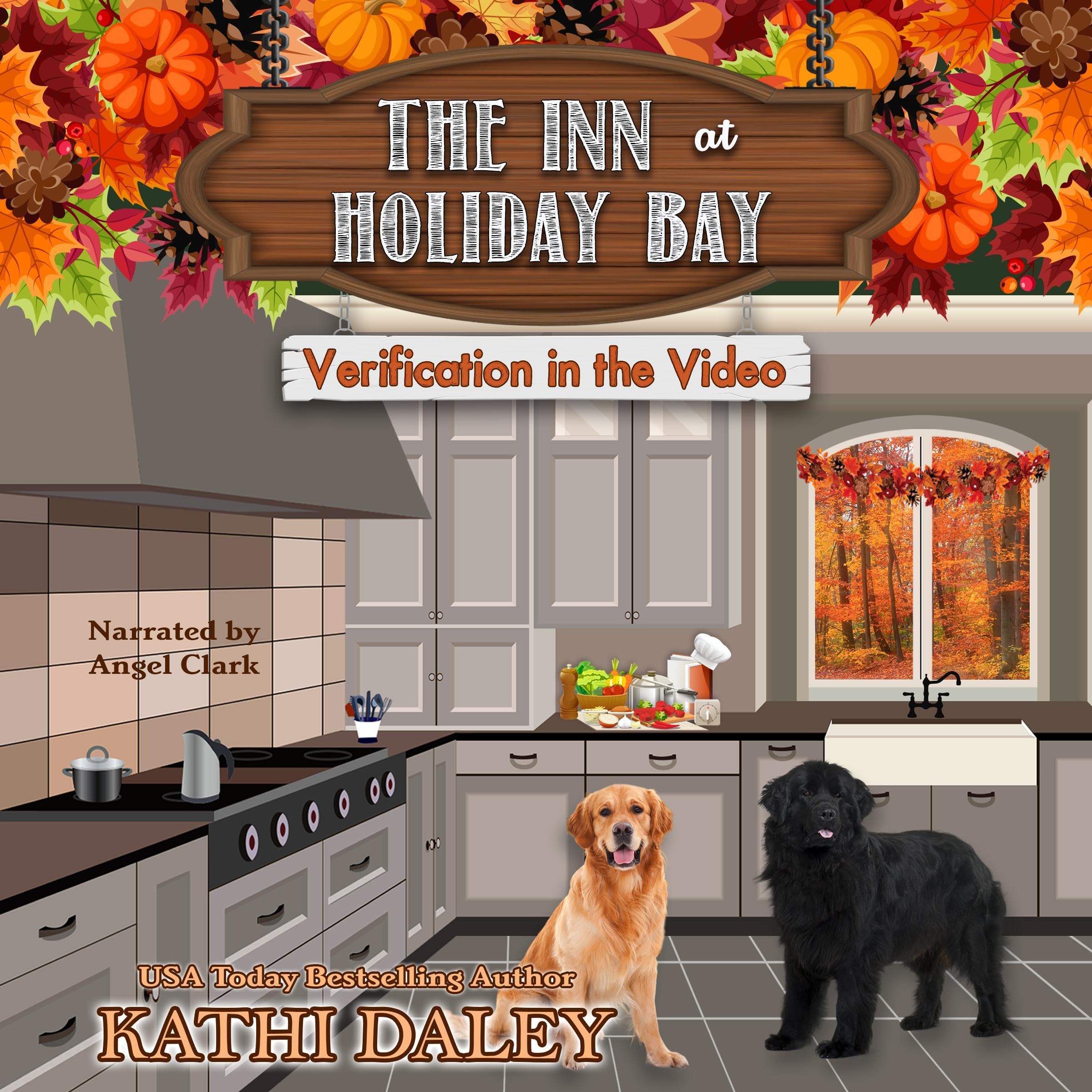 Cover art for The Inn at Holiday Bay: Verification in the Video