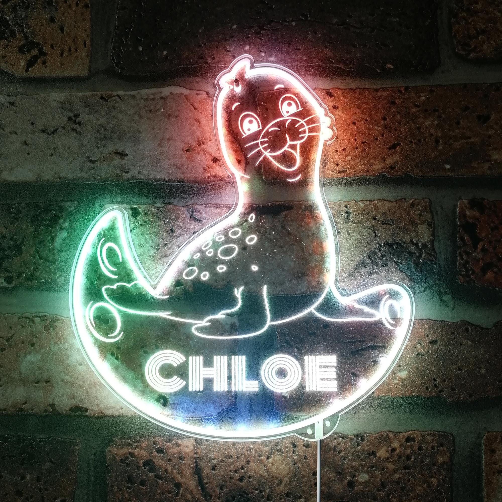 ADVPRO Name Personalized Sea Lion RGB Dynamic Glam LED Sign - Cut-to-Edge Shape - Smart 3D Wall Decoration - Multicolor Dynamic Lighting - st06s44-fnd-p0024-tm