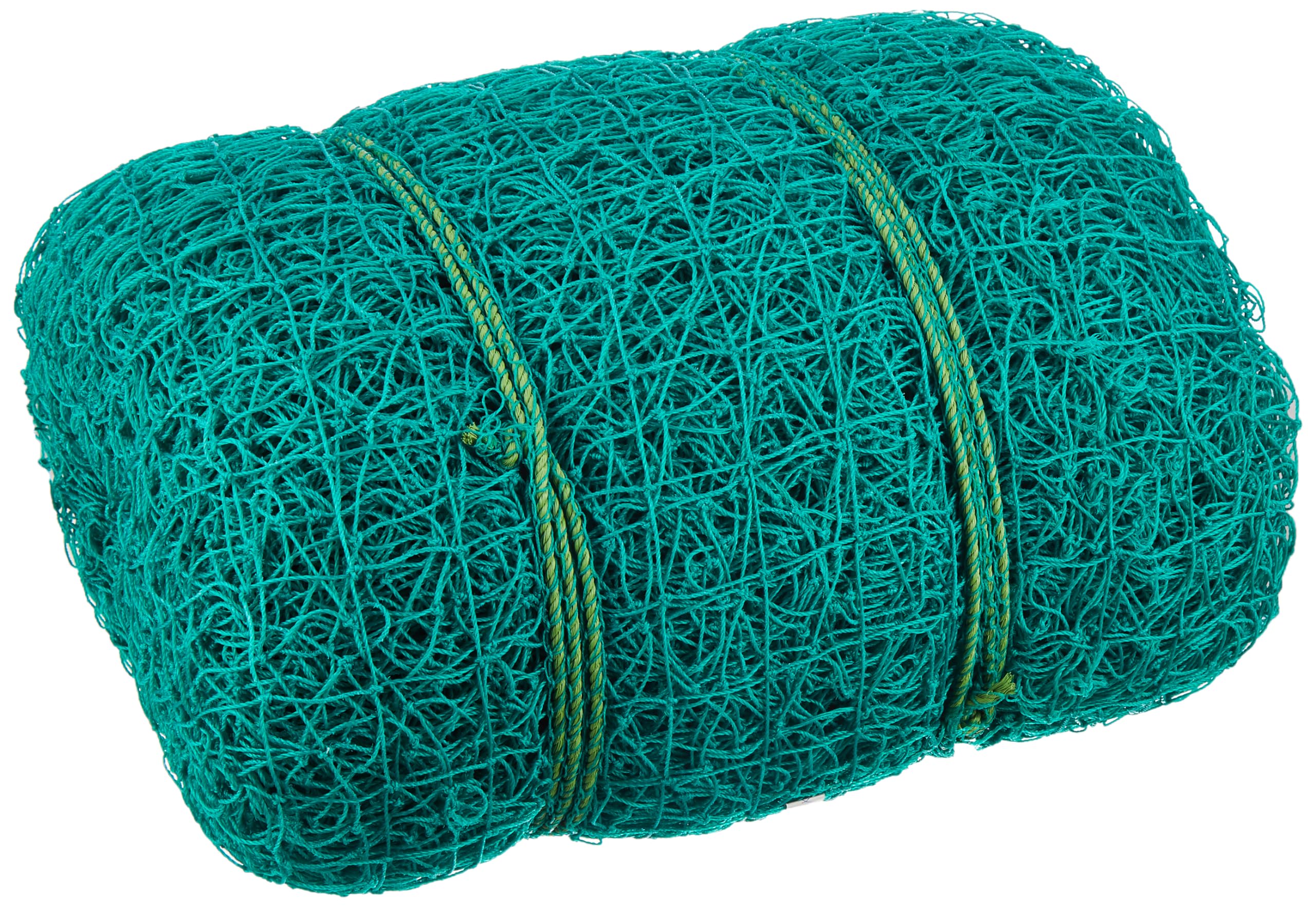 Cricket Boundary Net - RAISCO - Blue -5