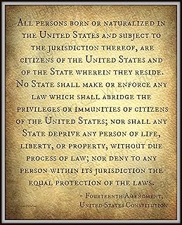 Fourteenth 14th Amendment United States Constitution American USA Lawyer Attorney art print Life Liberty Property Equality History poster Back to Law School Civil Rights art