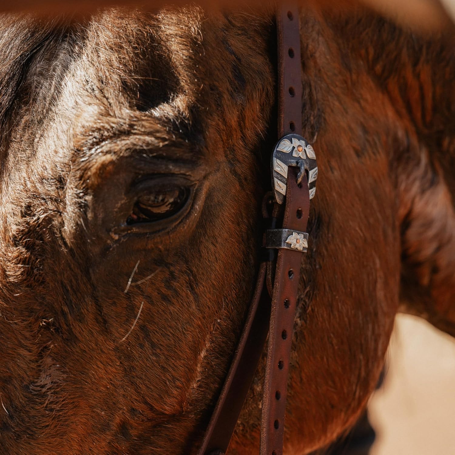 STS Ranch Signature Tack Harness Leather Split Ear Headstall, 3/4"