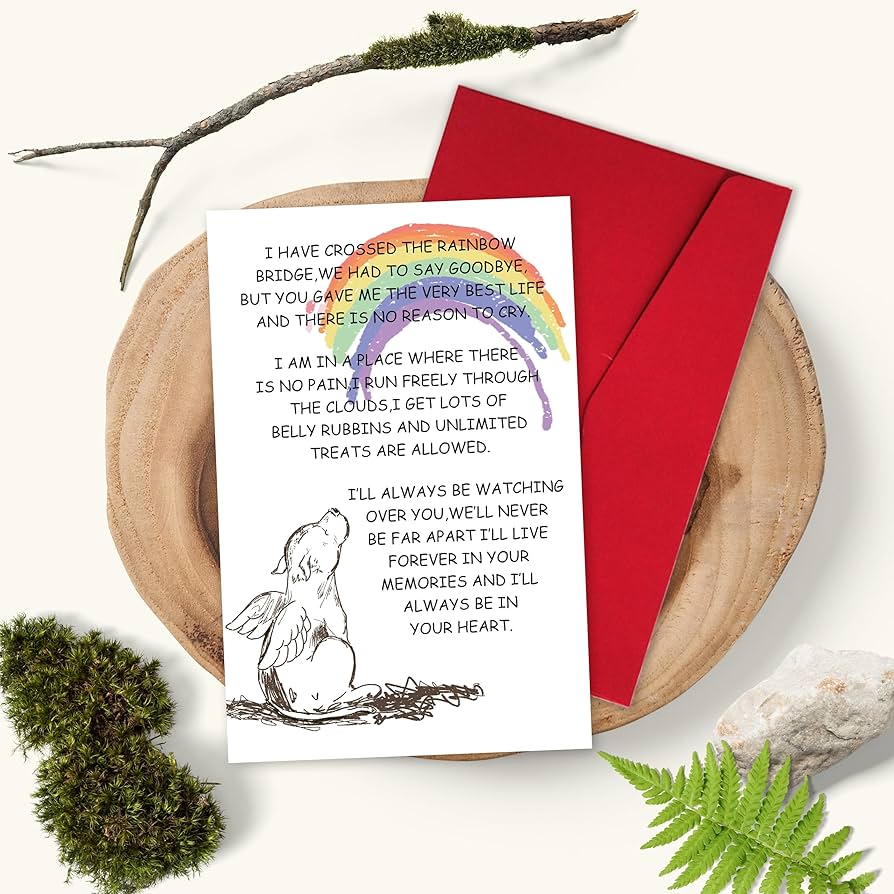 邦楽 The Ravens/GHOST NOTES/Sympathy The Ravens | Ghost Notes | ビクターエンタテインメント