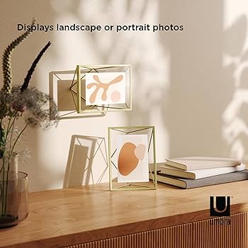 PRISM フォトブック セット 楽天市場】デルフォニックスdelfonics PDフォトアルバム