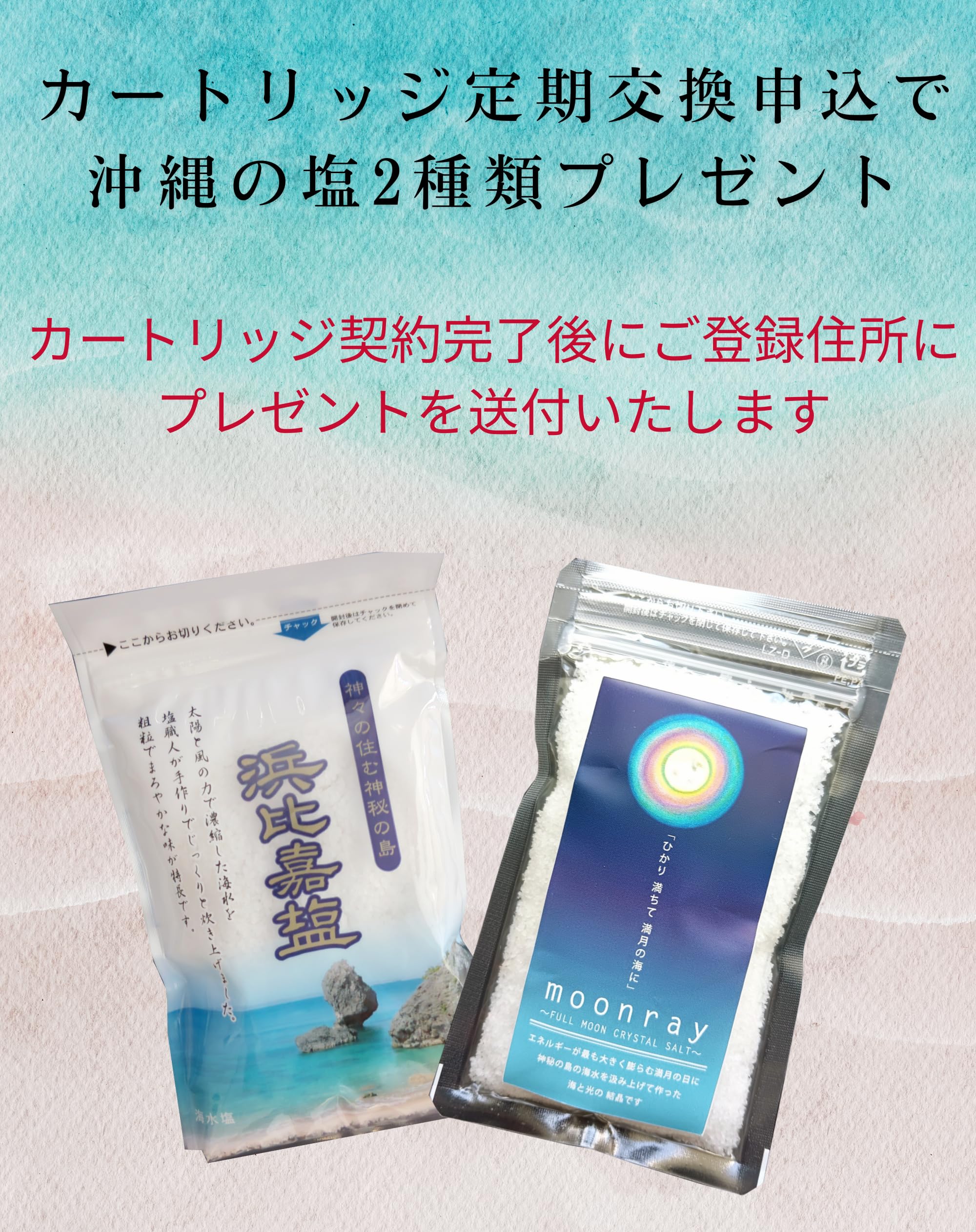 浄水器　カートリッジ 2個セット　素粒水 株式会社フリーサイエンス 商品カタログ＊ワンウォーターECO