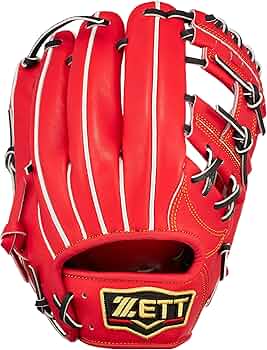 91AxlTVzBOL._AC_UF350,