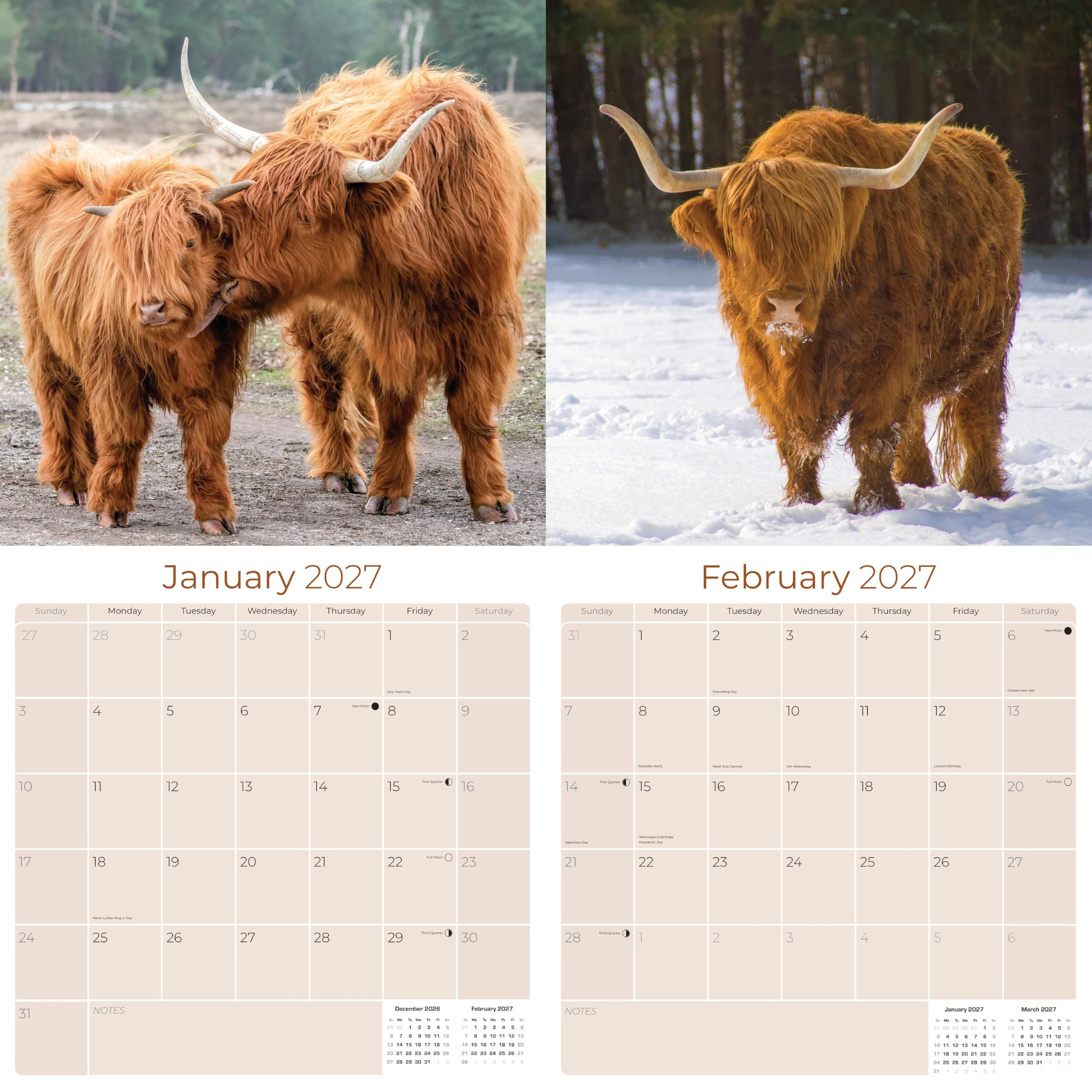 Monats-Wandkalender 2024 2025 Hochlandkühe – Wildtierkalender – 30,5 x 61 cm offen – dickes Papier ohne Blutung – Geschenk – akademischer Lehrerplaner Kalender Organisations- und Planungskalender